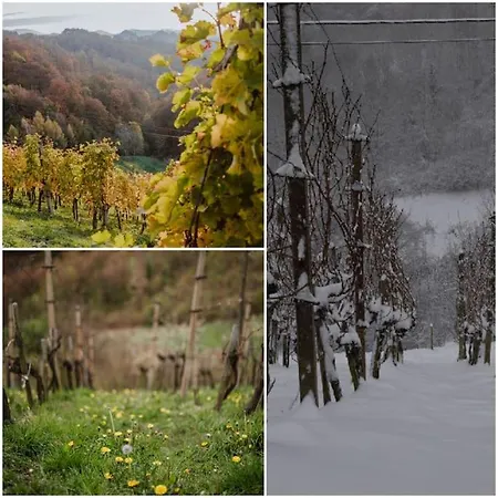 בית נופש Haloze Na Dlani - Haloze In Your Hand, Hisa S Pogledom Na Hribe - A House Vith A View Of Hills