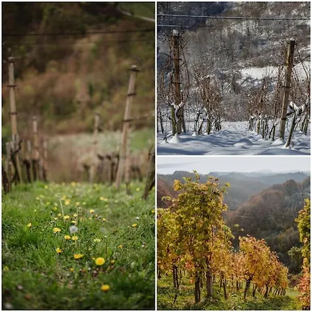 בית נופש Haloze Na Dlani - Haloze In Your Hand, Hisa S Pogledom Na Hribe - A House Vith A View Of Hills Gruskovec