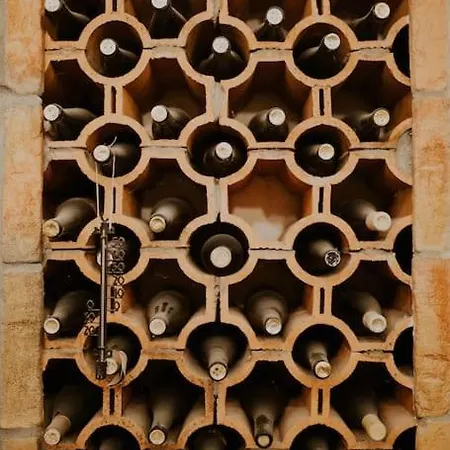 Haloze Na Dlani - Haloze In Your Hand, Hisa S Pogledom Na Hribe - A House Vith A View Of Hills בית נופש *