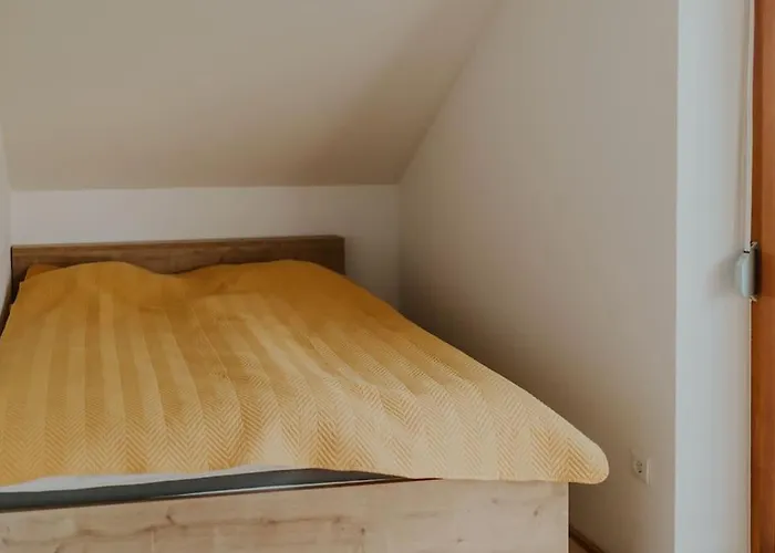 Haloze Na Dlani - Haloze In Your Hand, Hisa S Pogledom Na Hribe - A House Vith A View Of Hills Semesterbostad