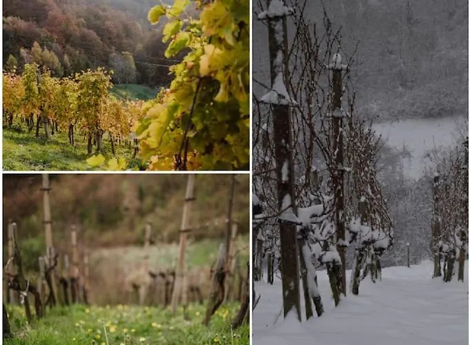 Semesterbostad Haloze Na Dlani - Haloze In Your Hand, Hisa S Pogledom Na Hribe - A House Vith A View Of Hills