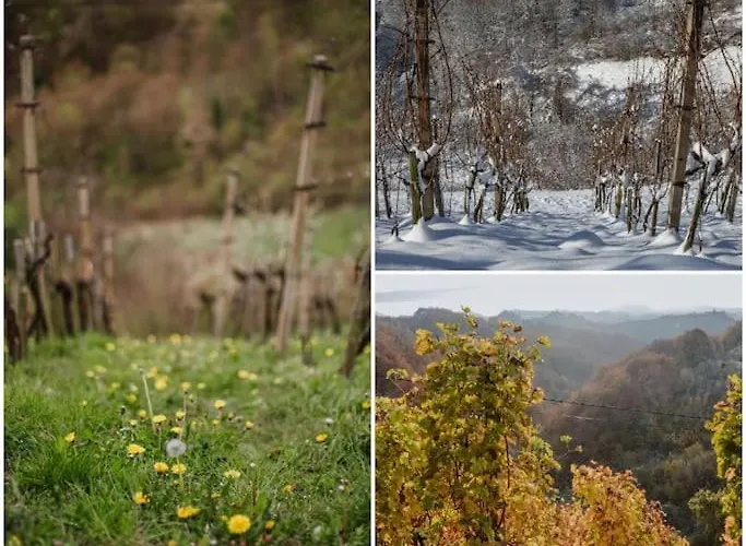Semesterbostad Haloze Na Dlani - Haloze In Your Hand, Hisa S Pogledom Na Hribe - A House Vith A View Of Hills Gruskovec